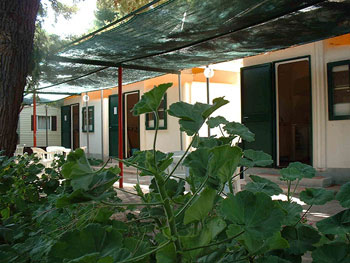 bungalows vieste marina