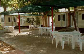 chalets vieste marina